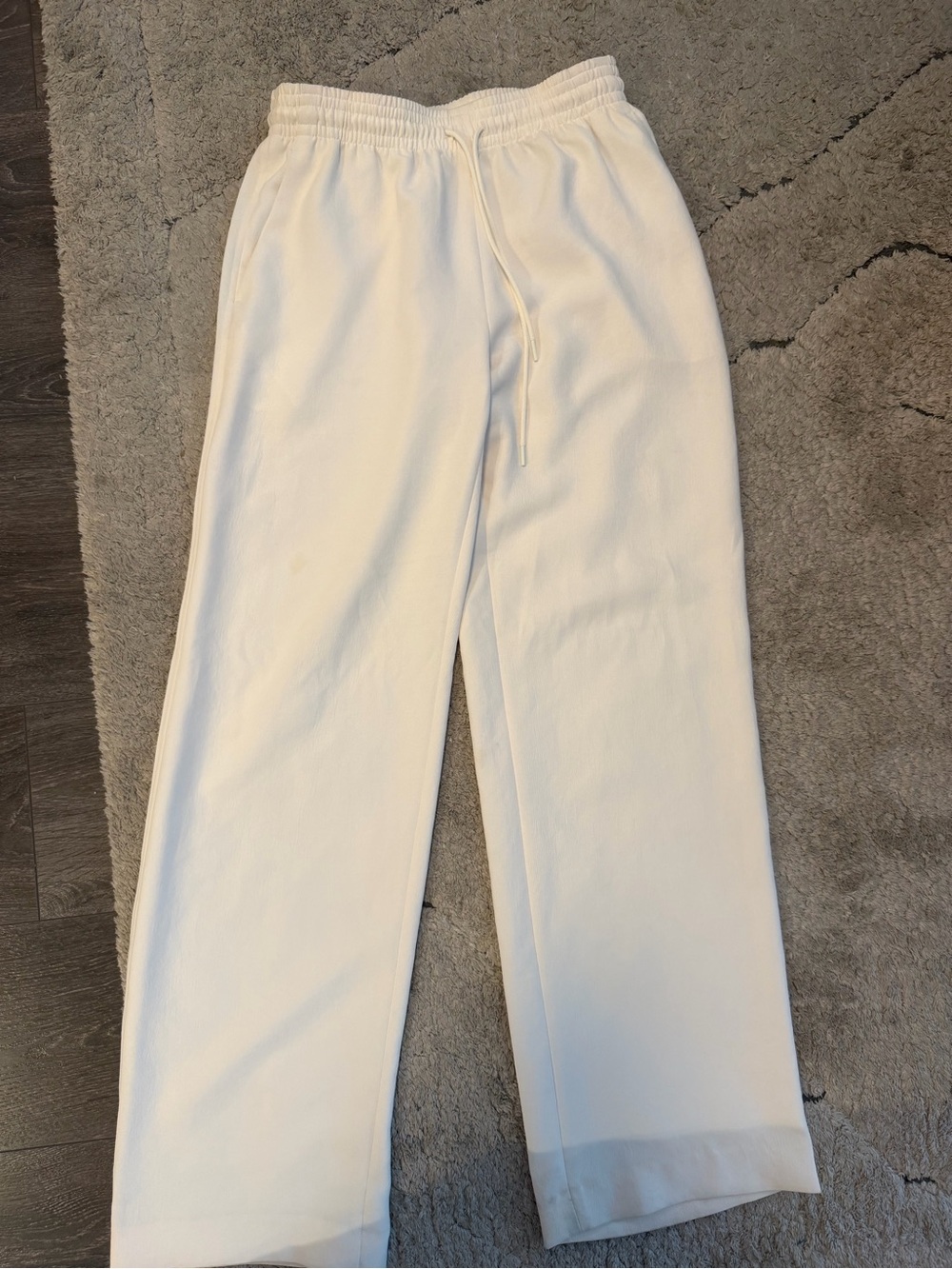 Aritzia thesis pants